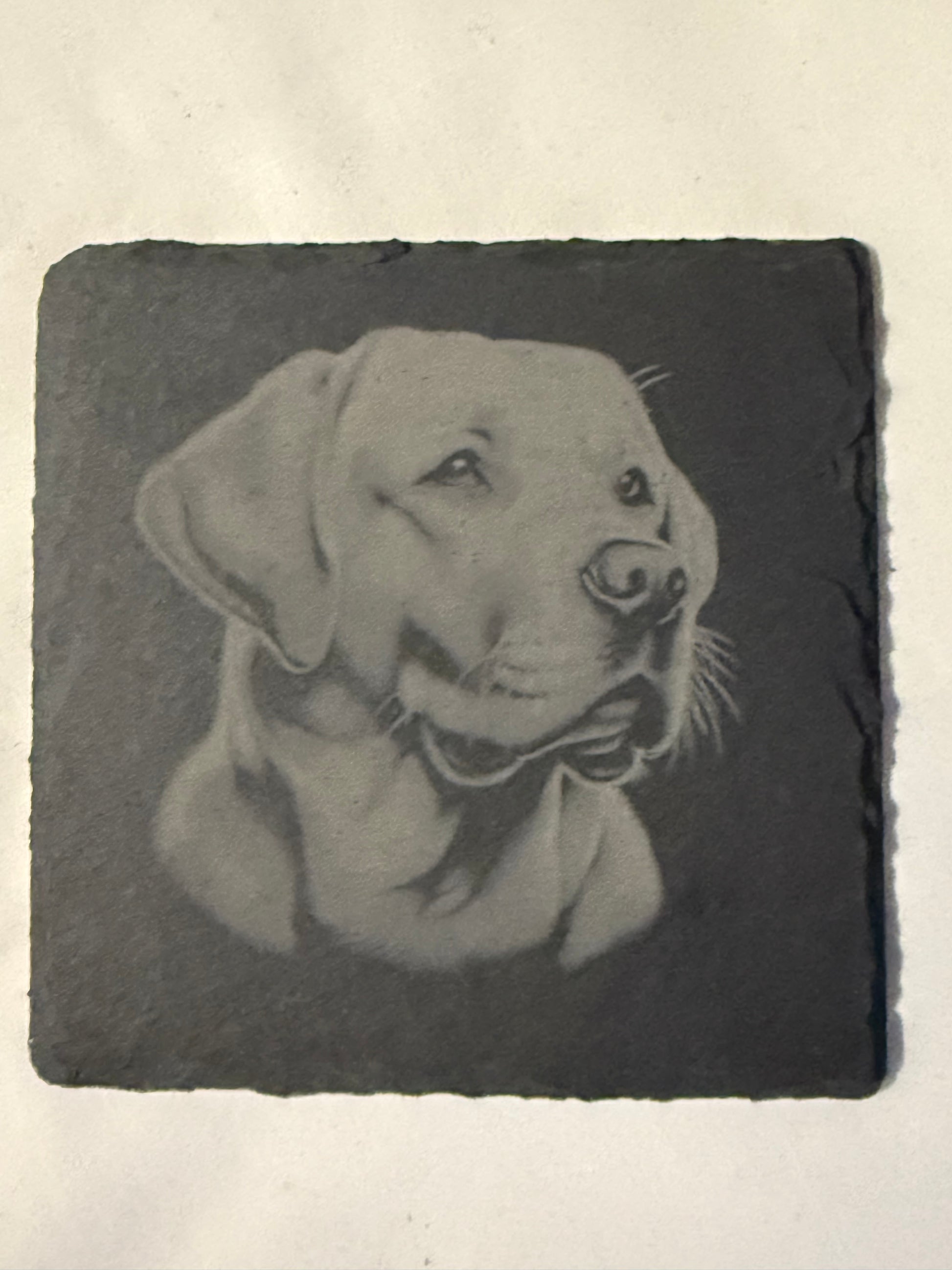 Labrador