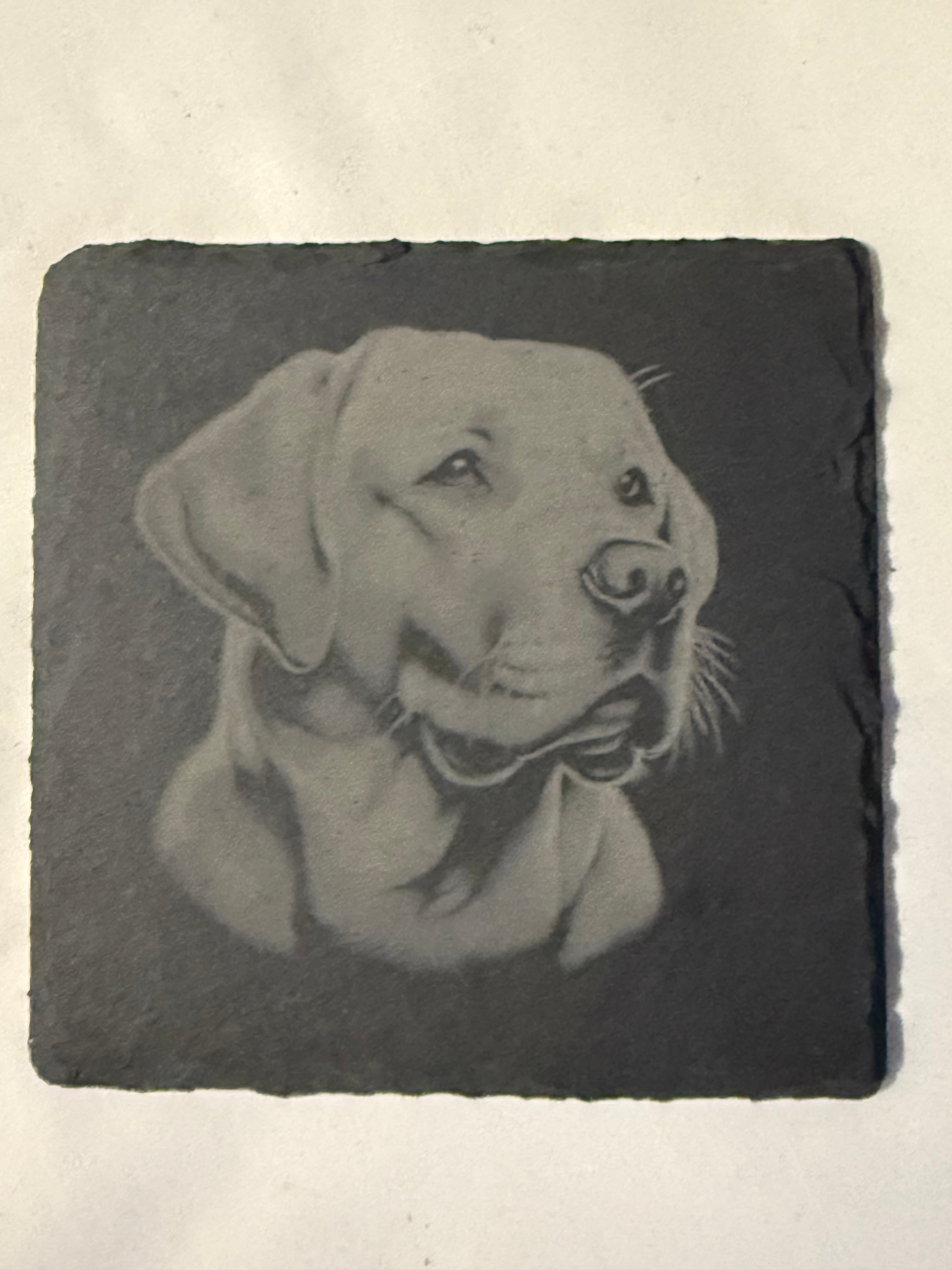 Labrador