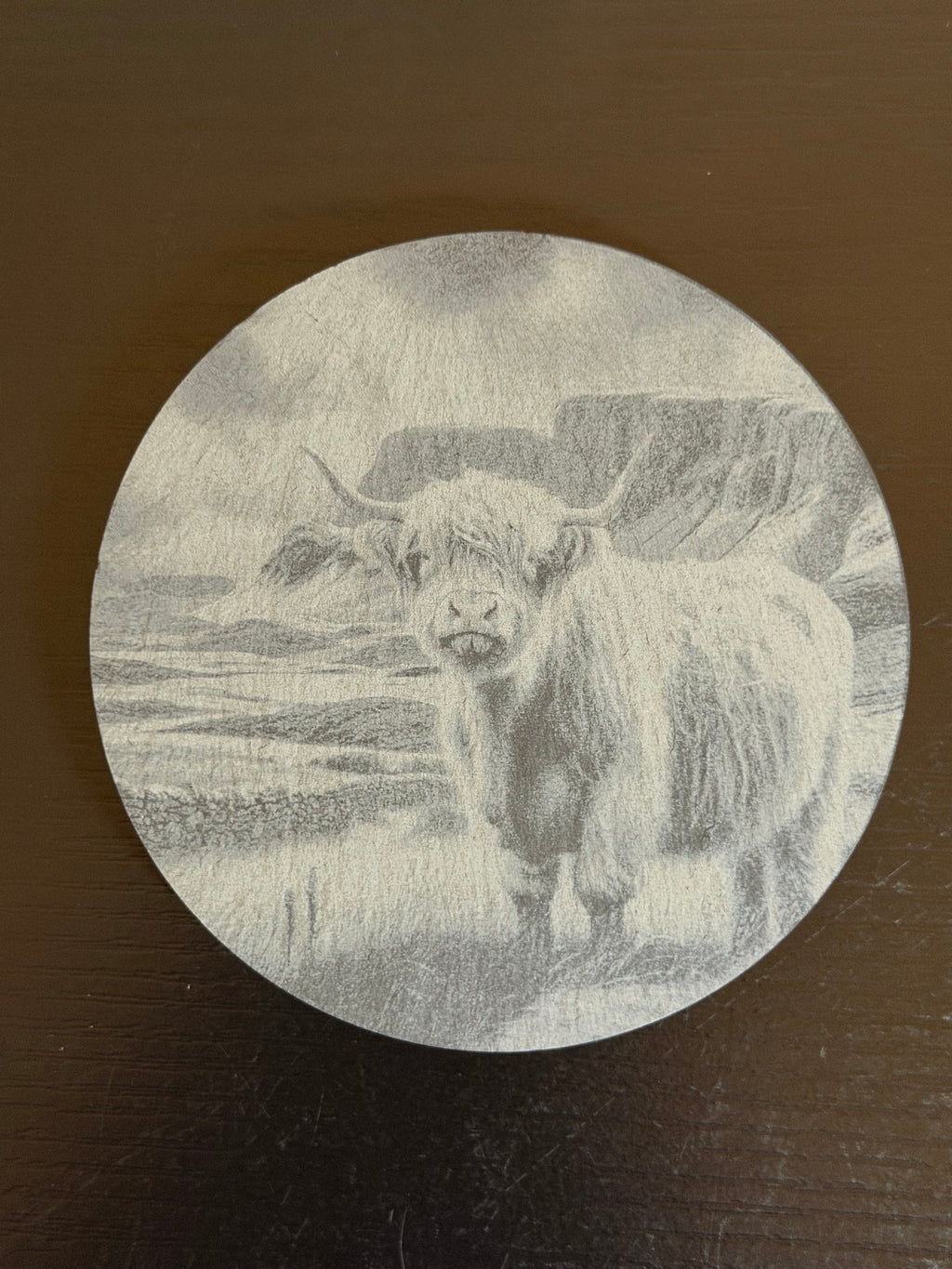 Highland Cow