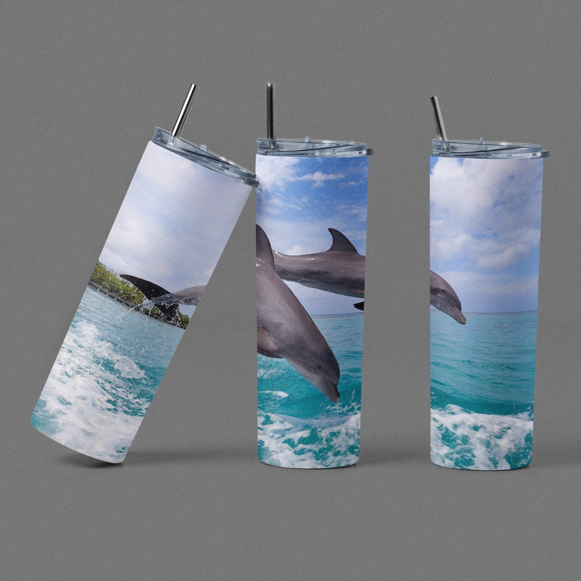 Other Animals & Insects Collection