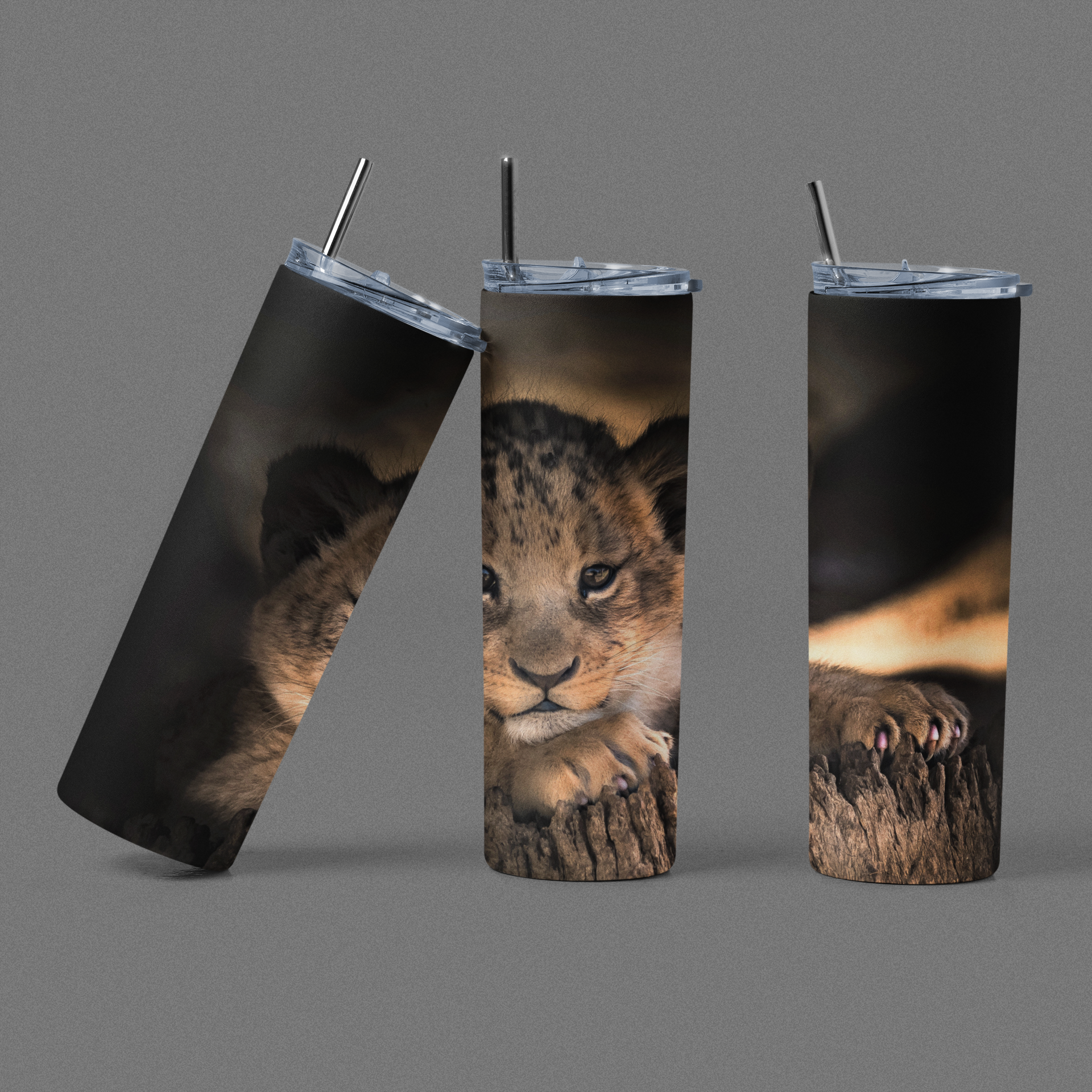 Other Animals & Insects Collection