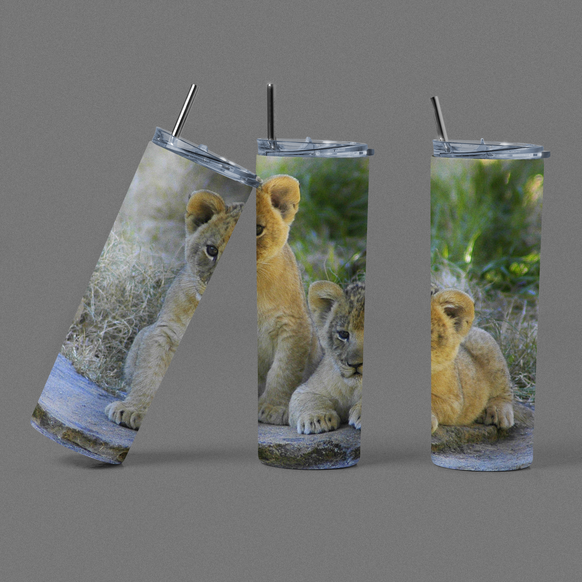 Other Animals & Insects Collection