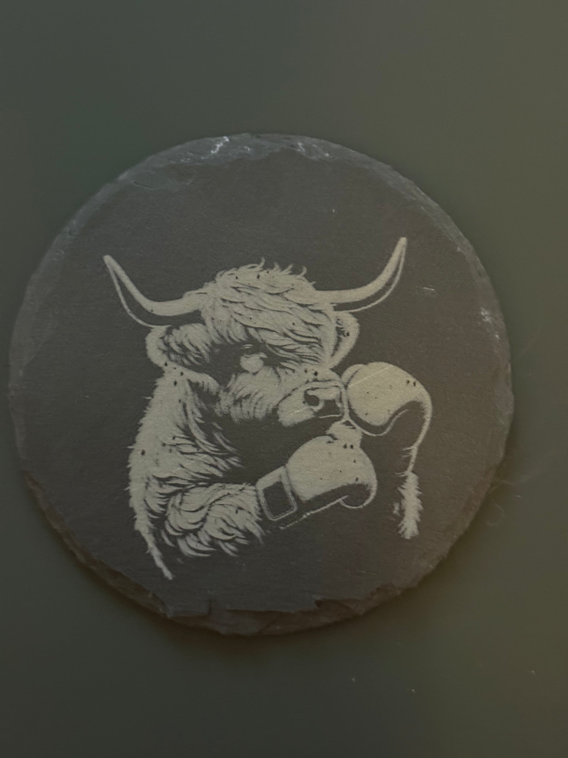 Highland Cow Collection