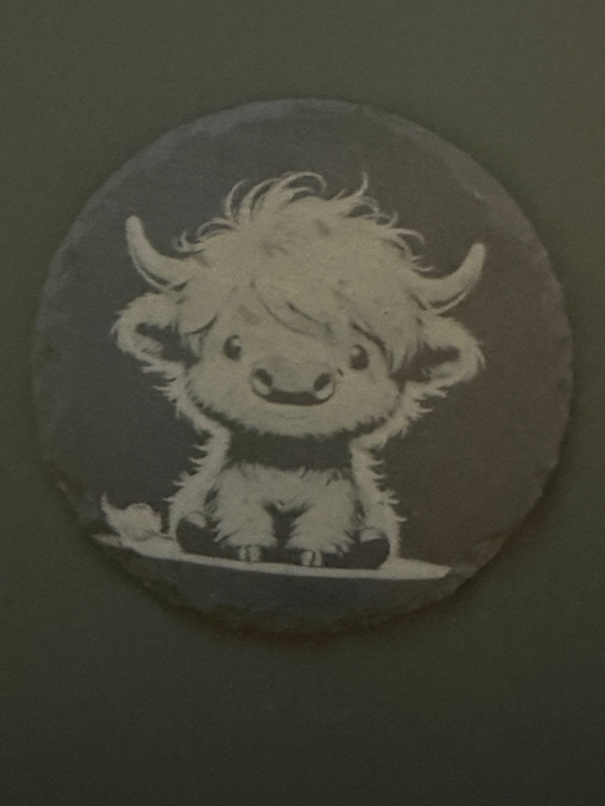Highland Cow Collection