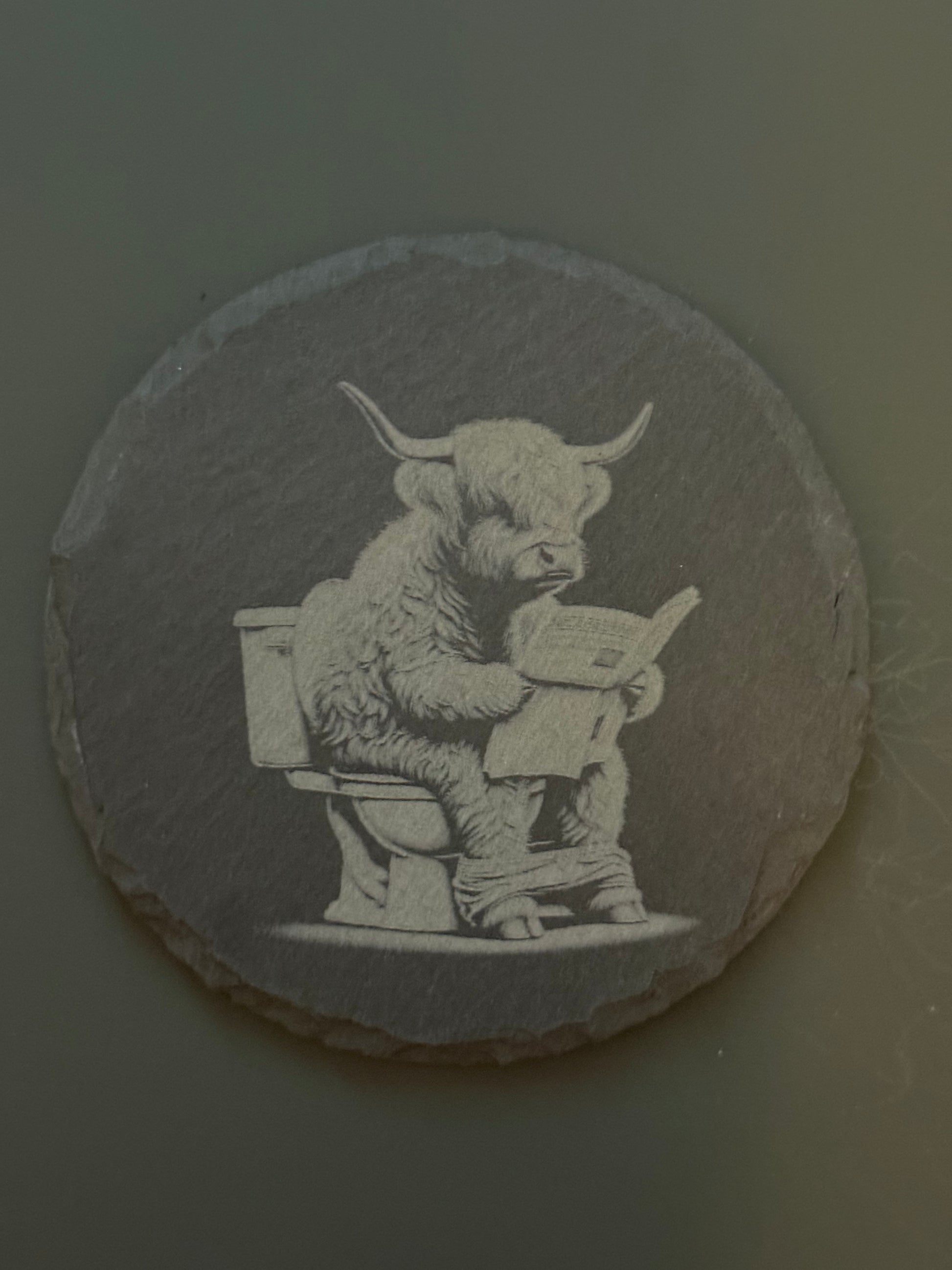 Highland Cow Collection