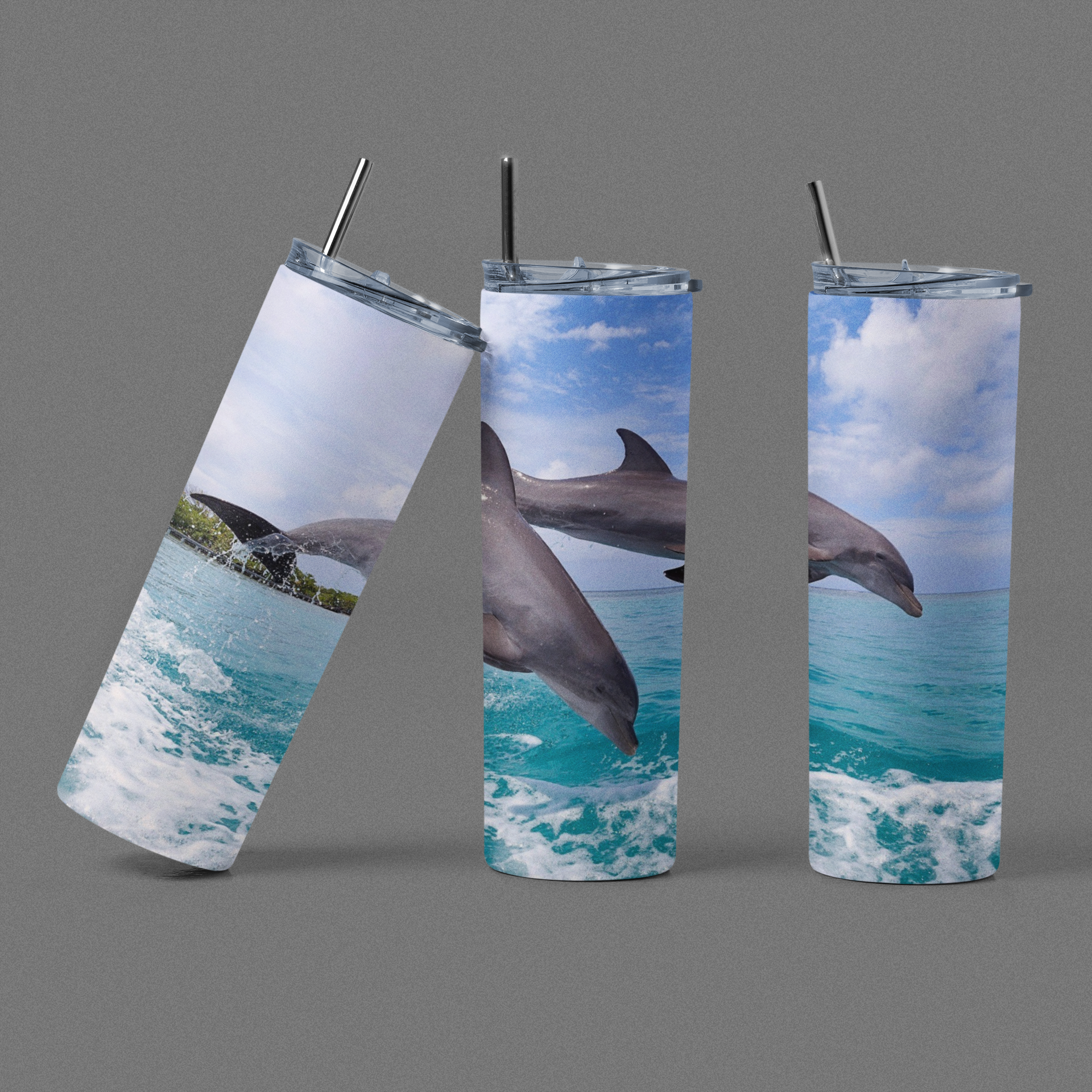 Dolphins Collection
