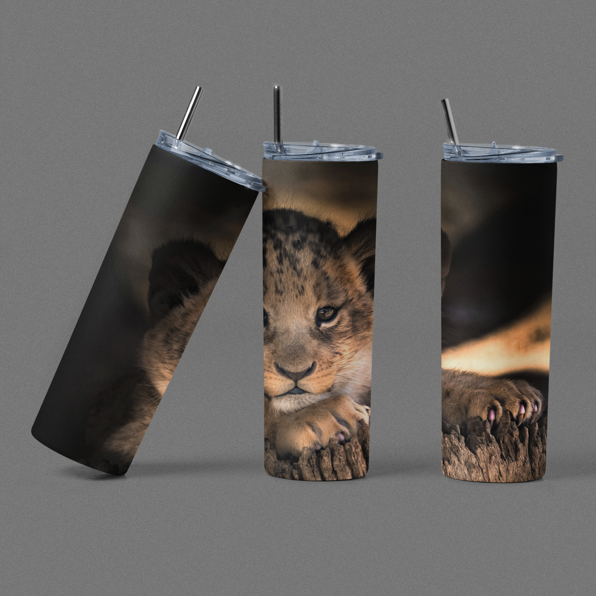 Wild Cat 2