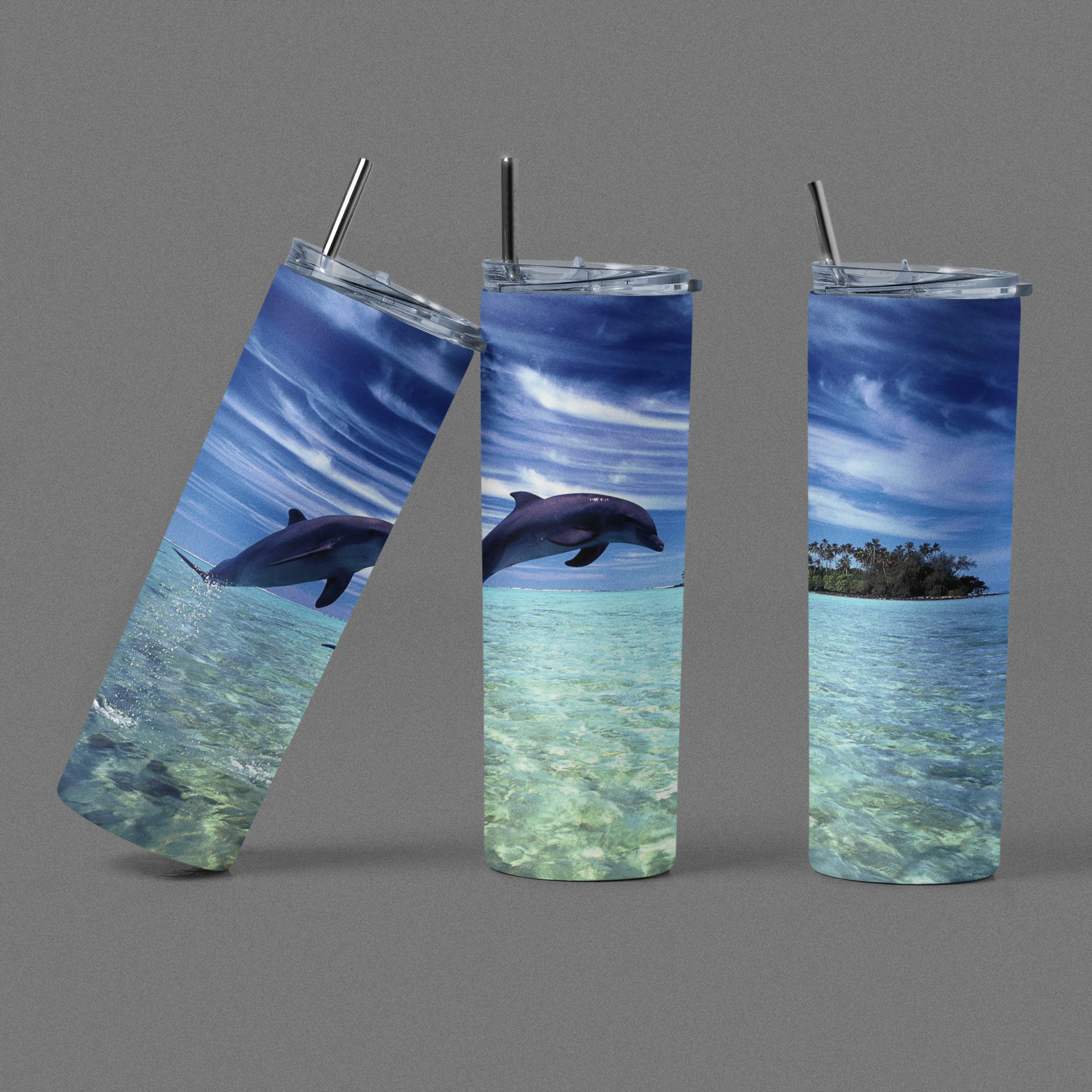 Dolphins Collection