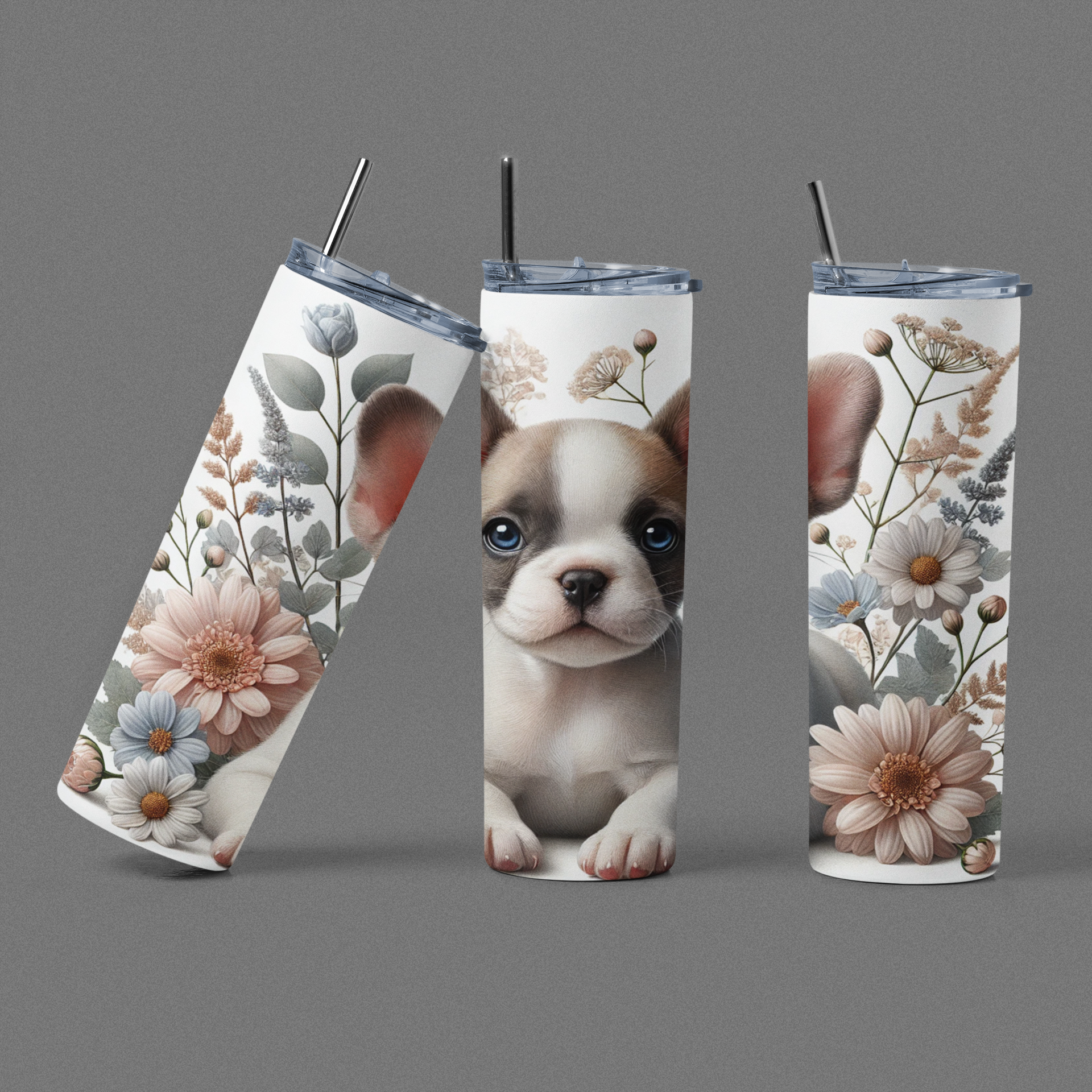 Dogs Collection